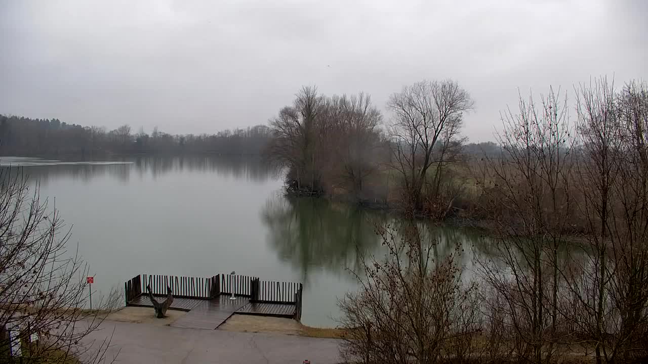 Spletna kamera Ribnik Vrbje – Žalec