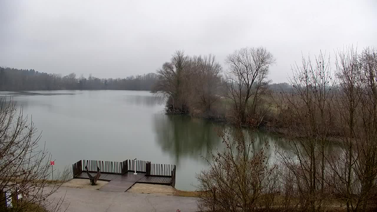 Webcam Ribnik Vrbje – Žalec