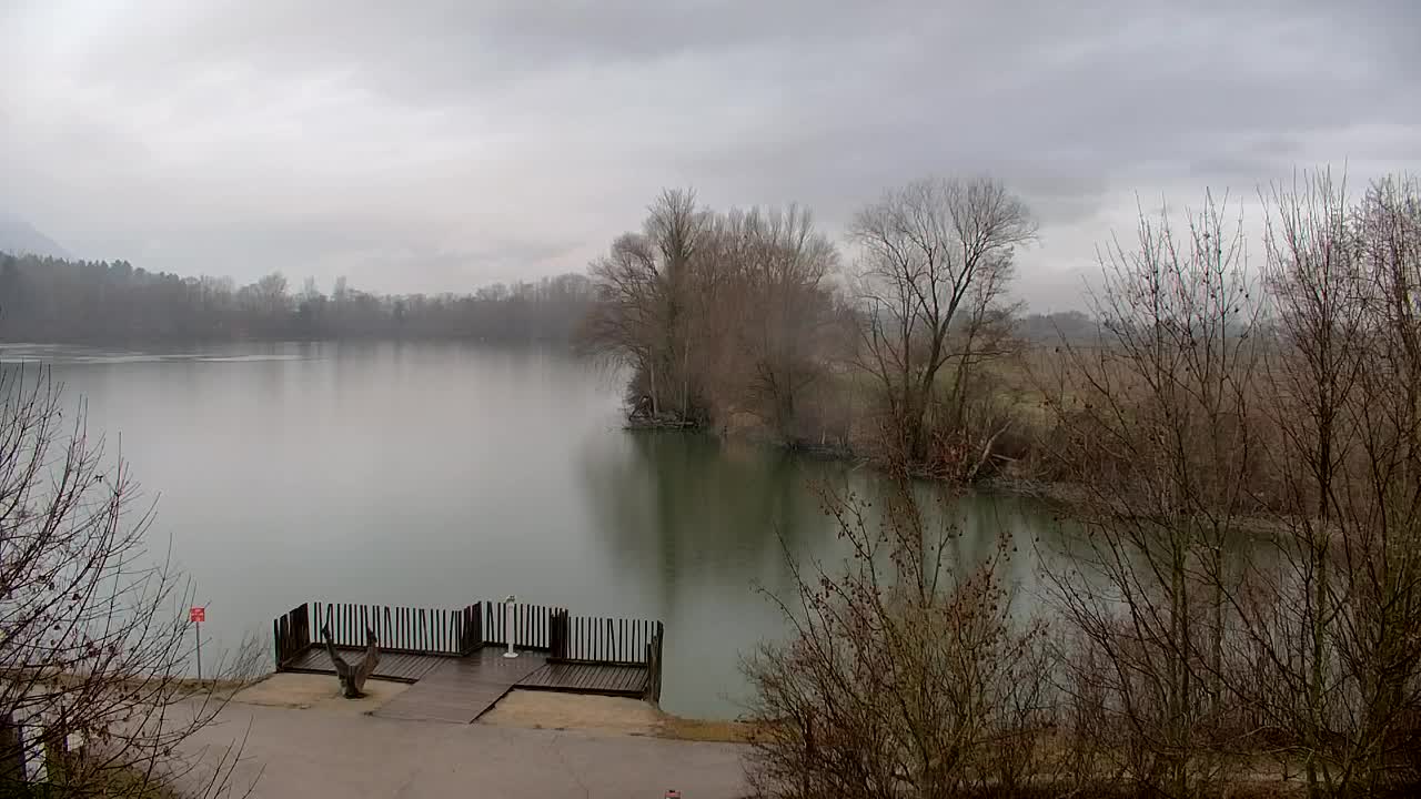 Webcam Ribnik Vrbje – Žalec