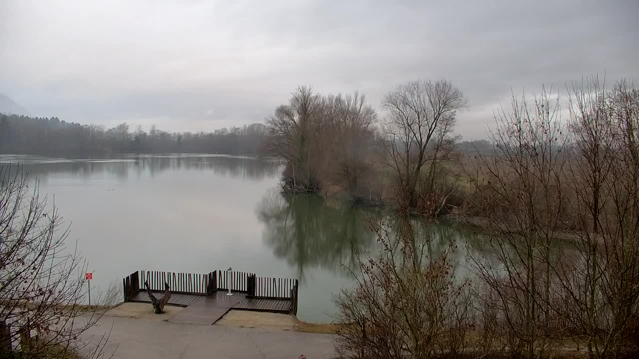 Webcam Ribnik Vrbje – Žalec