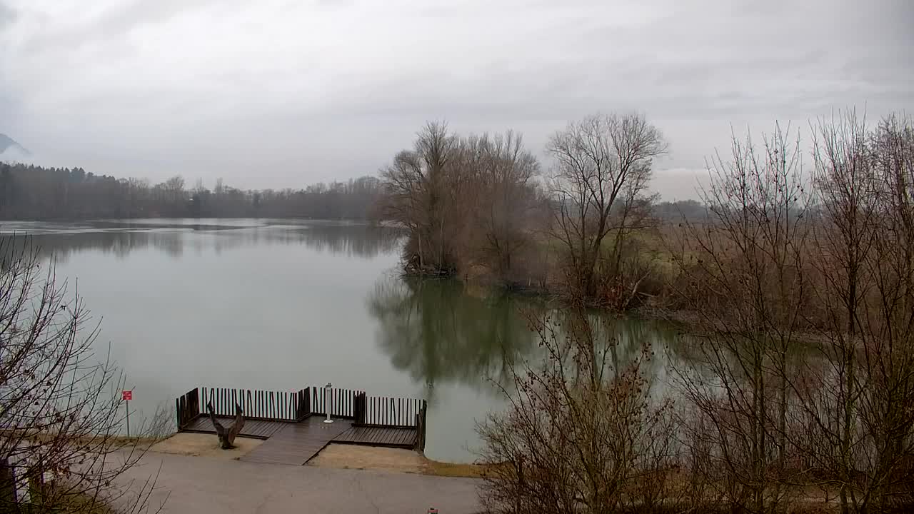 Webcam Ribnik Vrbje – Žalec