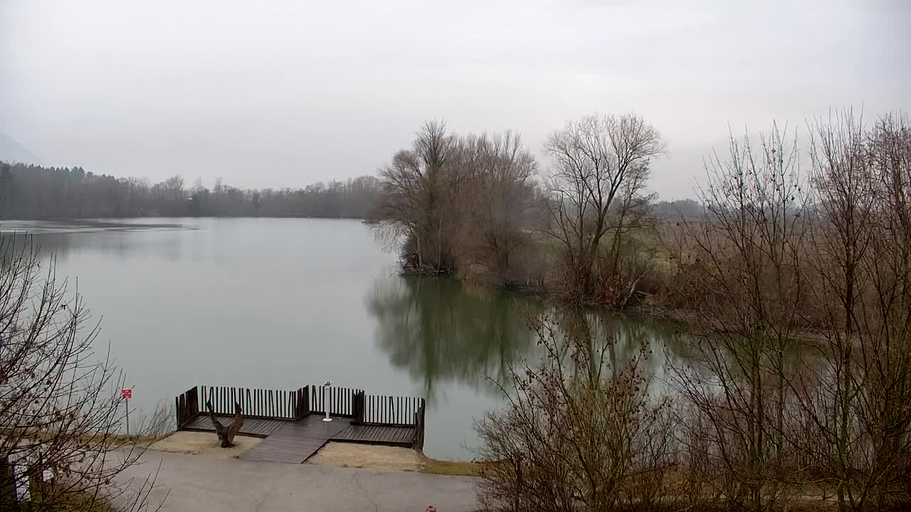 Webcam Ribnik Vrbje – Žalec