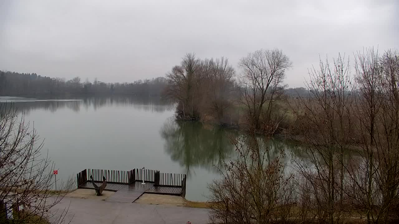 Webcam Ribnik Vrbje – Žalec