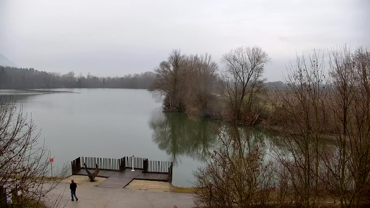 Webcam Ribnik Vrbje – Žalec