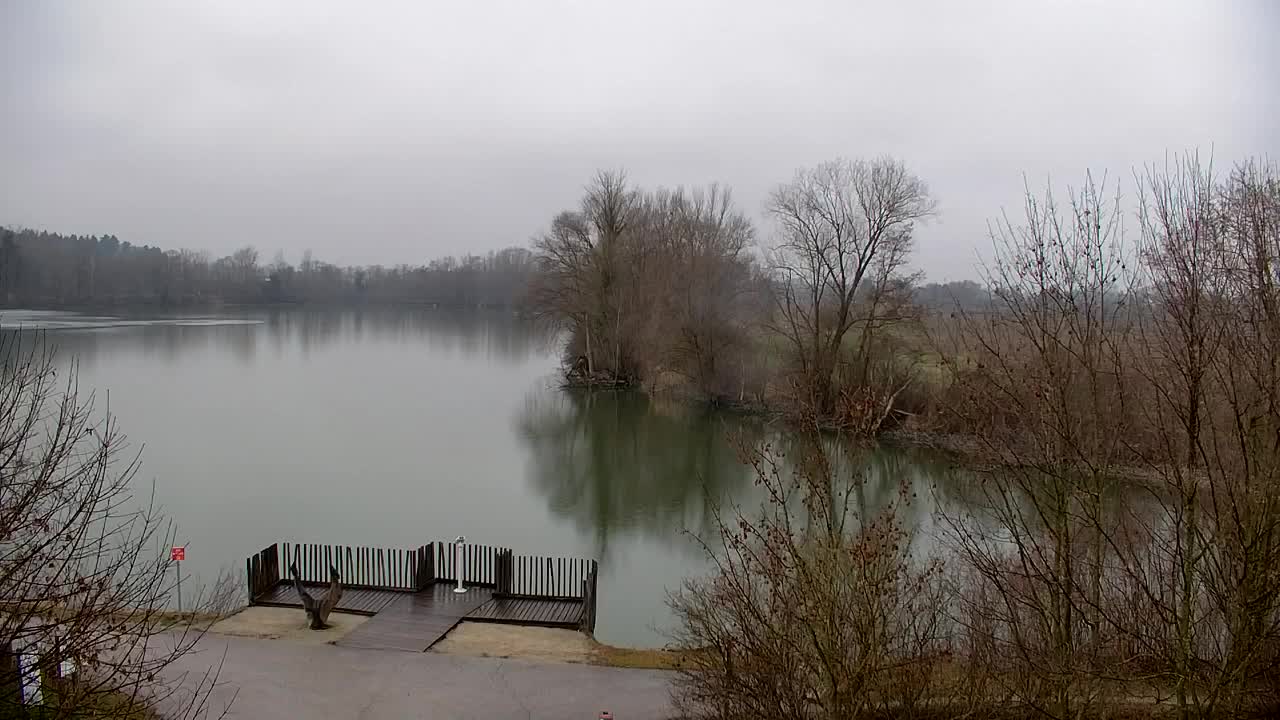 Webcam Ribnik Vrbje – Žalec