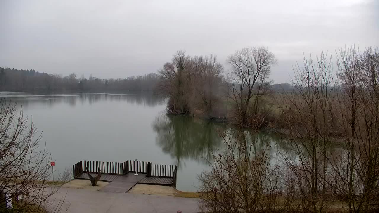 Webcam Ribnik Vrbje – Žalec