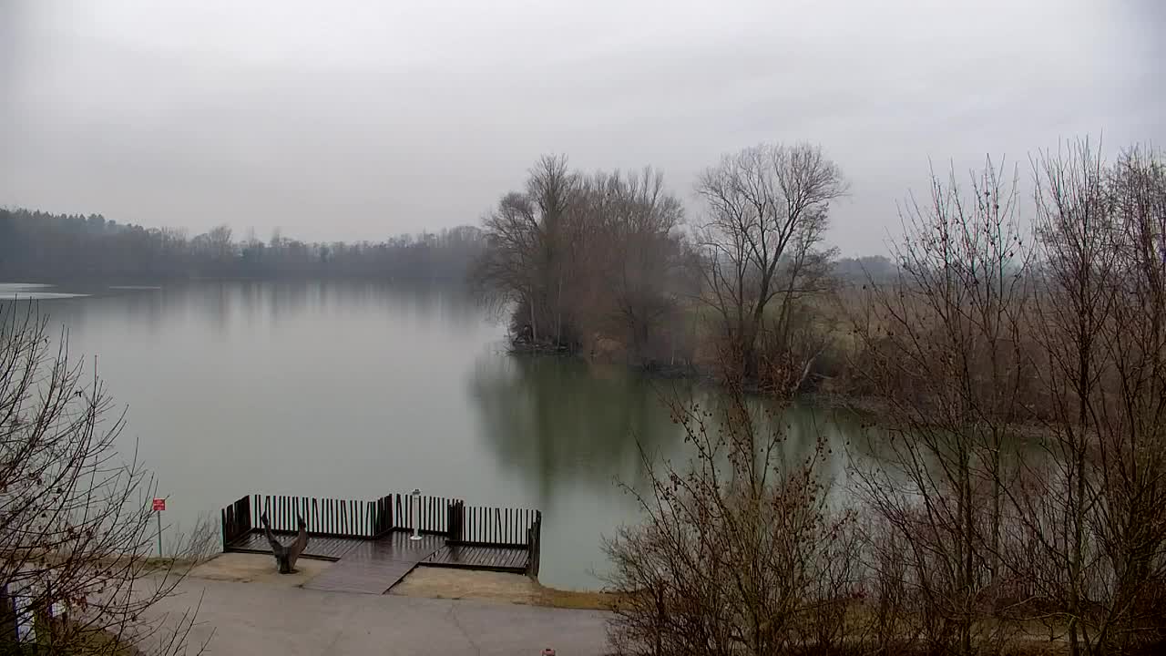 Webcam Ribnik Vrbje – Žalec