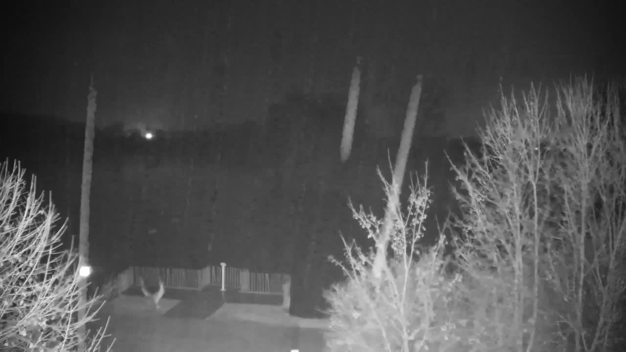 Webcam Ribnik Vrbje – Žalec