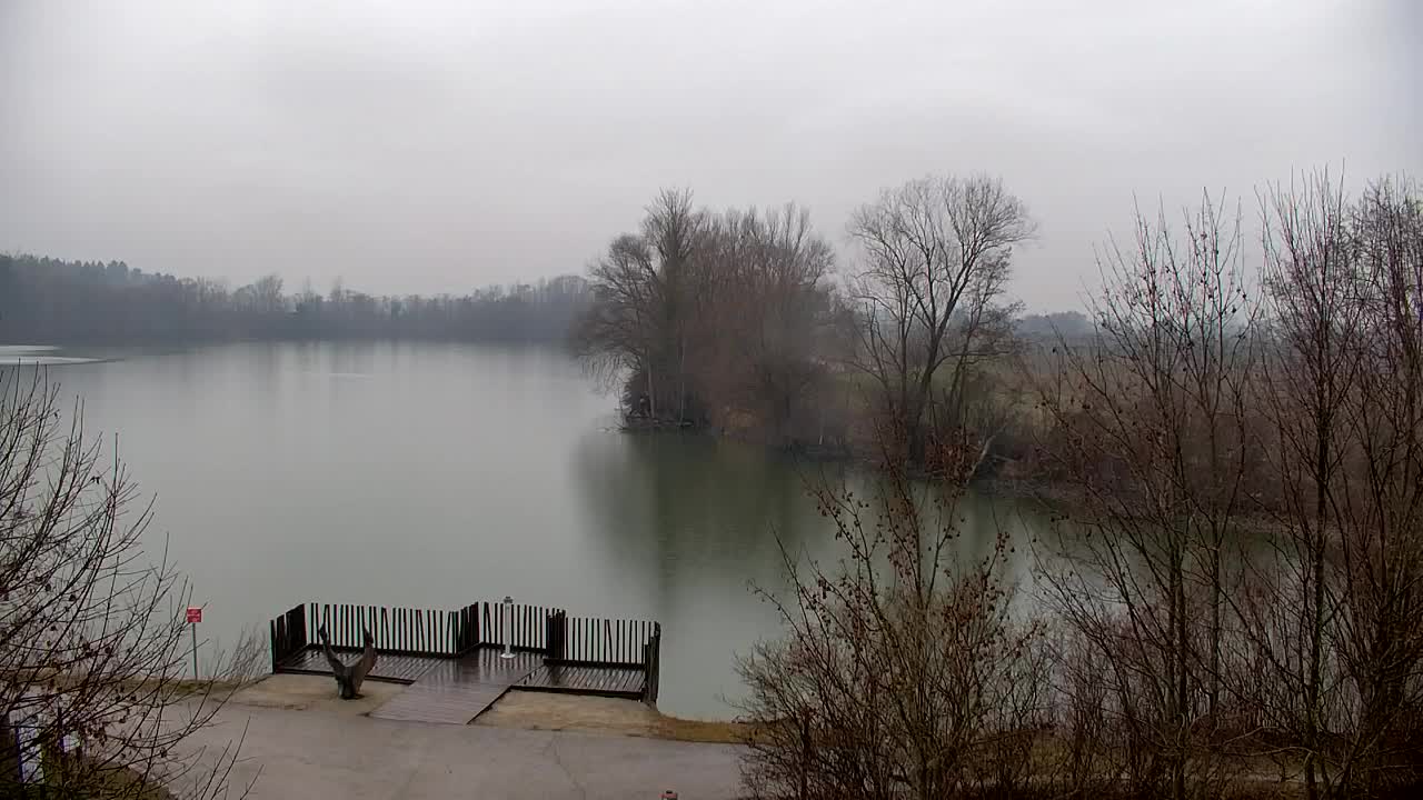 Webcam Ribnik Vrbje – Žalec