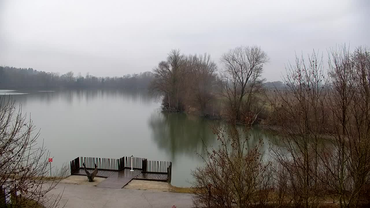 Webcam Ribnik Vrbje – Žalec