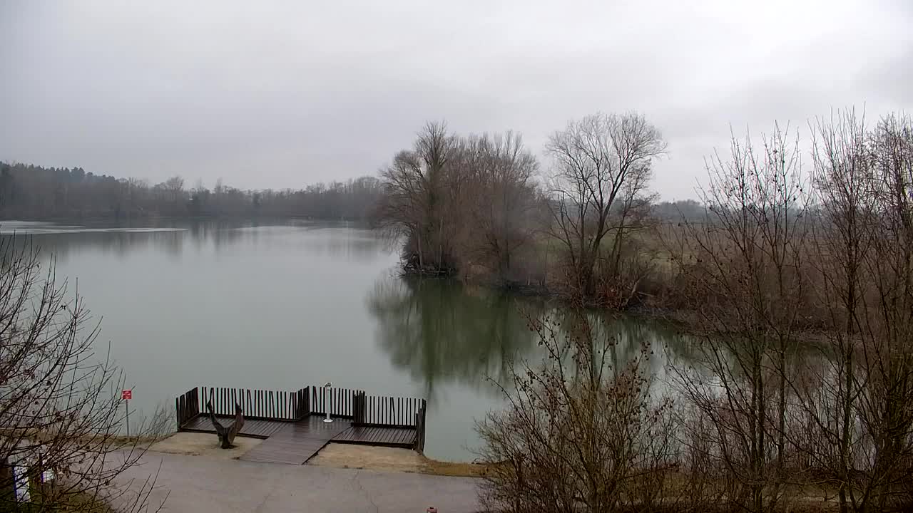 Webcam Ribnik Vrbje – Žalec