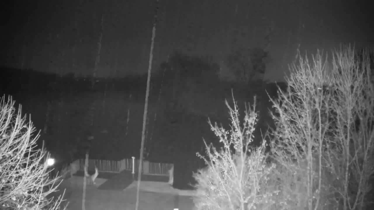 Webcam Ribnik Vrbje – Žalec