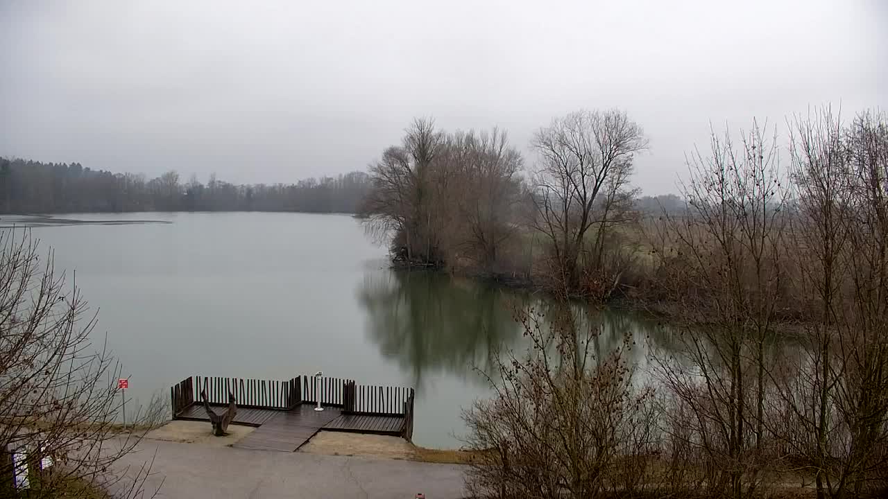 Webcam Ribnik Vrbje – Žalec