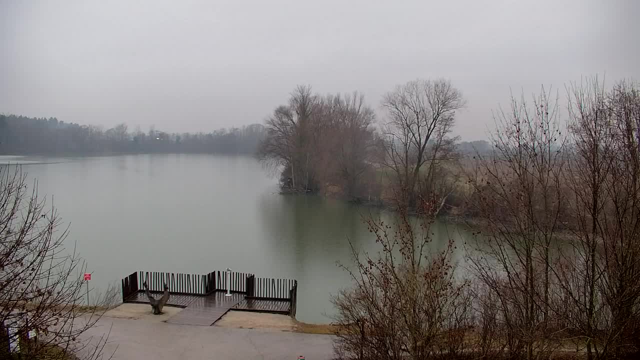 Webcam Ribnik Vrbje – Žalec