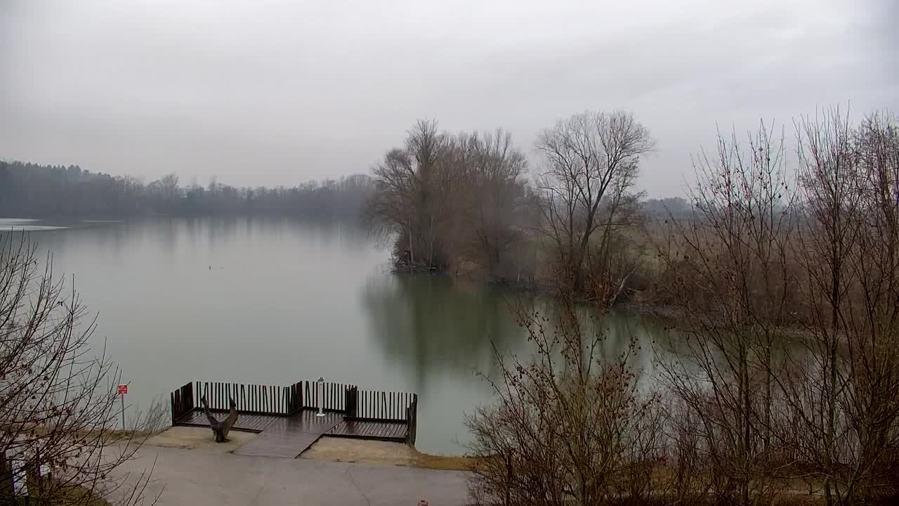 Webcam Ribnik Vrbje – Žalec