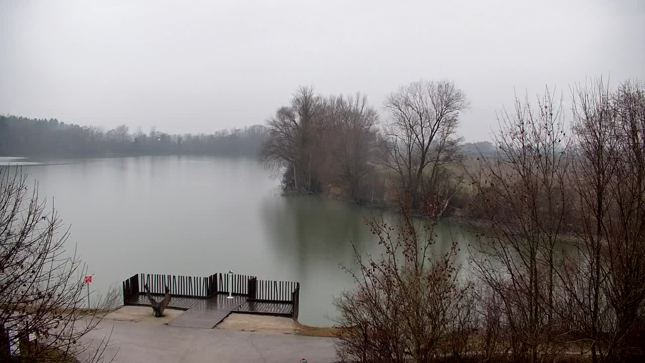 Webcam Ribnik Vrbje – Žalec