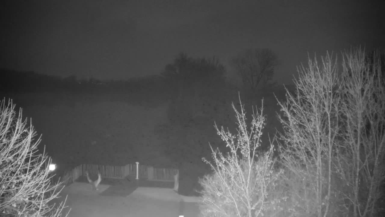 Spletna kamera Ribnik Vrbje – Žalec