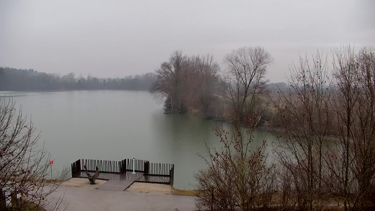 Webcam Ribnik Vrbje – Žalec