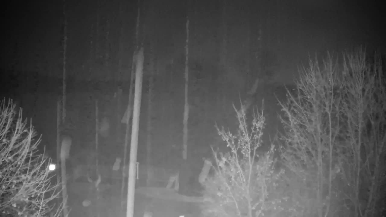 Webcam Ribnik Vrbje – Žalec