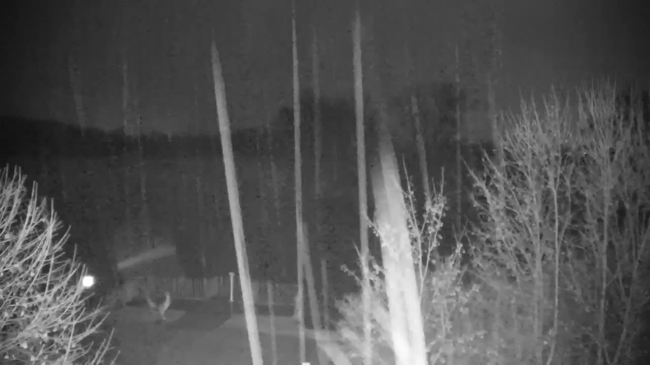 Webcam Ribnik Vrbje – Žalec