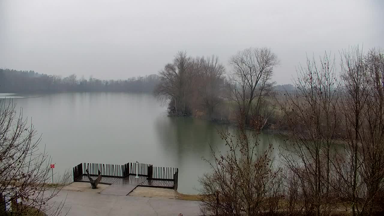 Webcam Ribnik Vrbje – Žalec