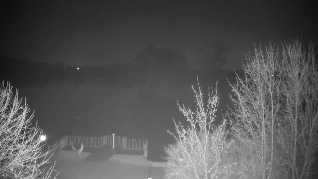 Webcam Ribnik Vrbje – Žalec