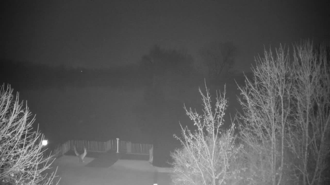 Webcam Ribnik Vrbje – Žalec