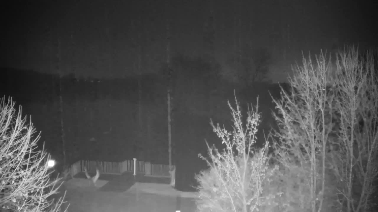 Webcam Ribnik Vrbje – Žalec