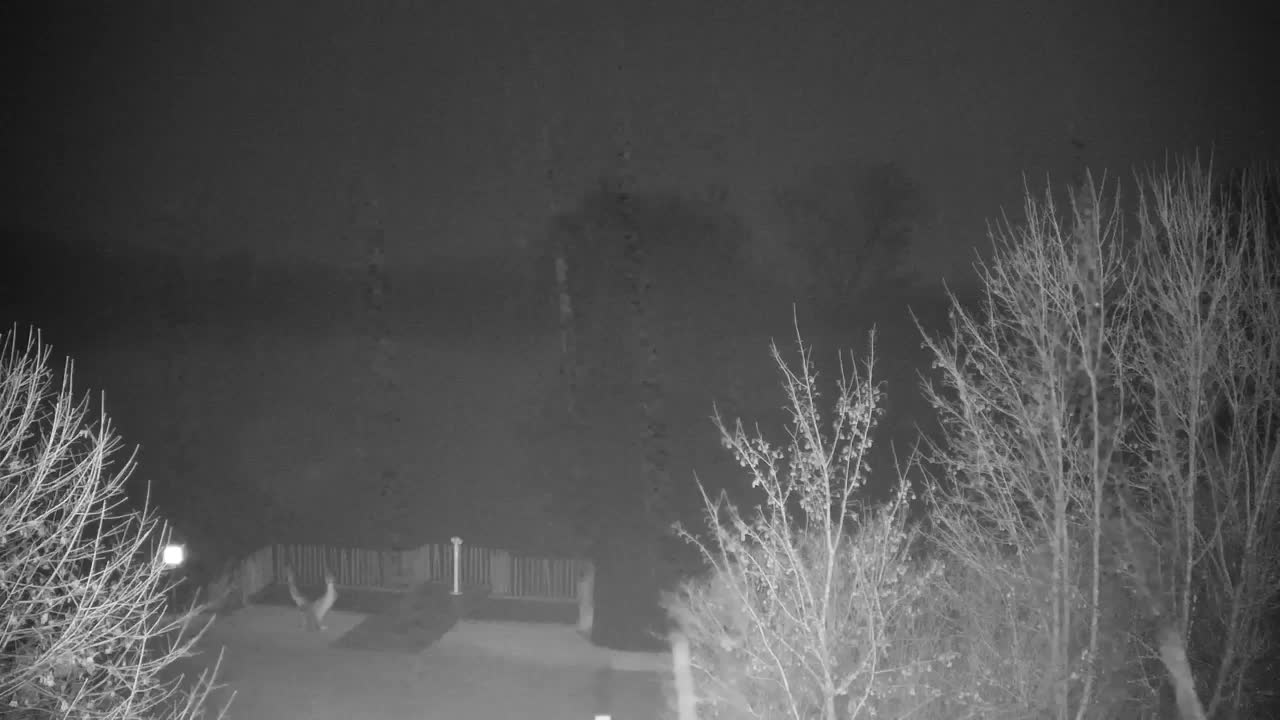 Webcam Ribnik Vrbje – Žalec