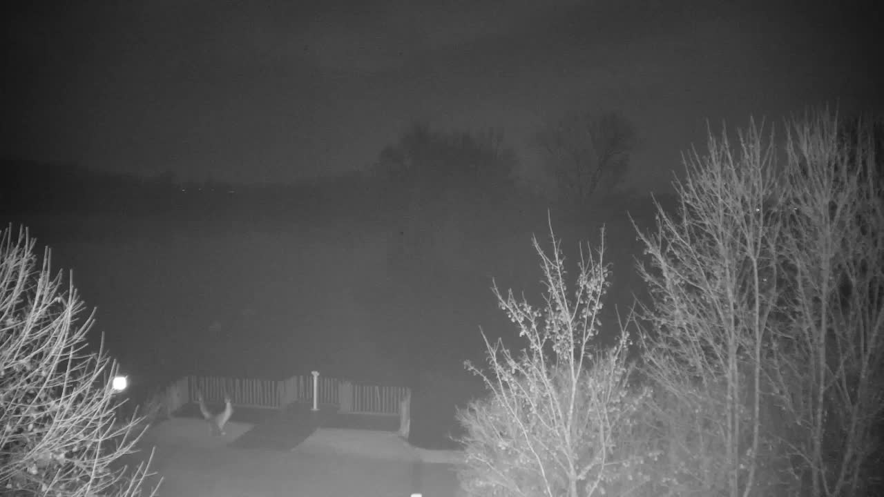 Webcam Ribnik Vrbje – Žalec