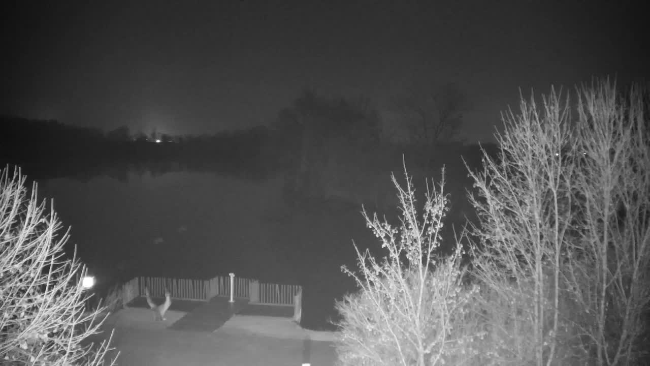 Webcam Ribnik Vrbje – Žalec