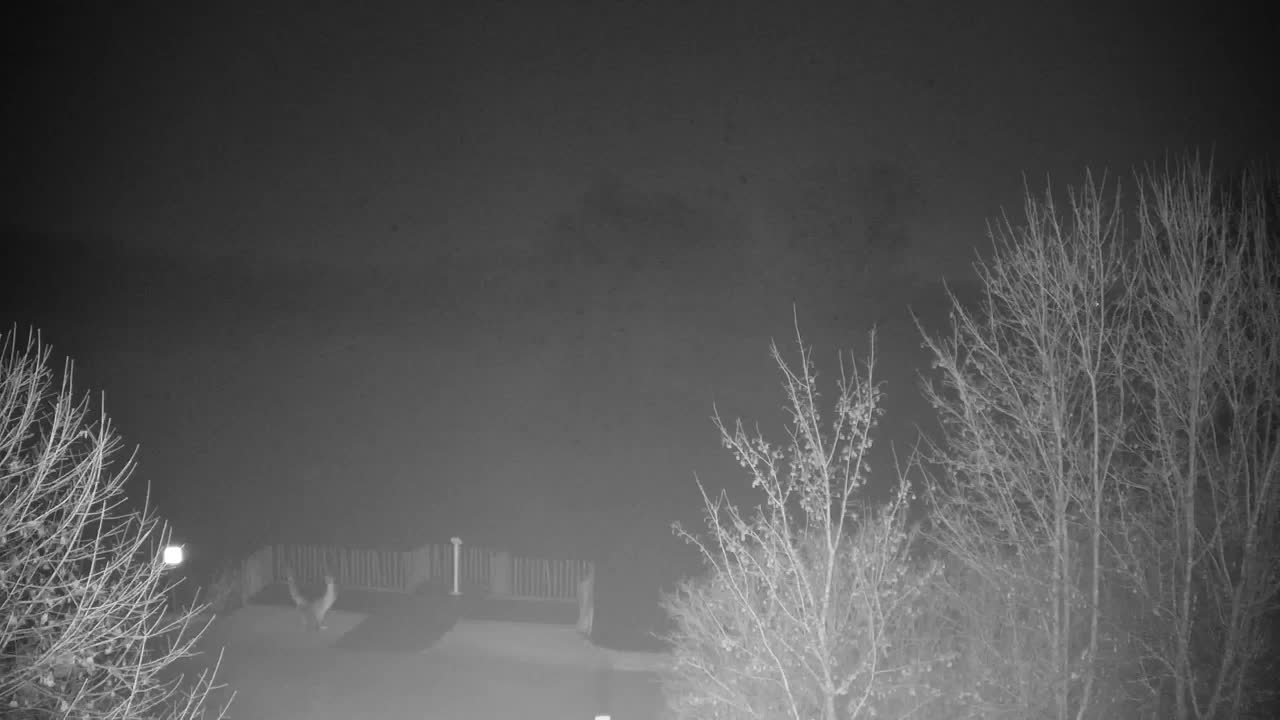 Webcam Ribnik Vrbje – Žalec