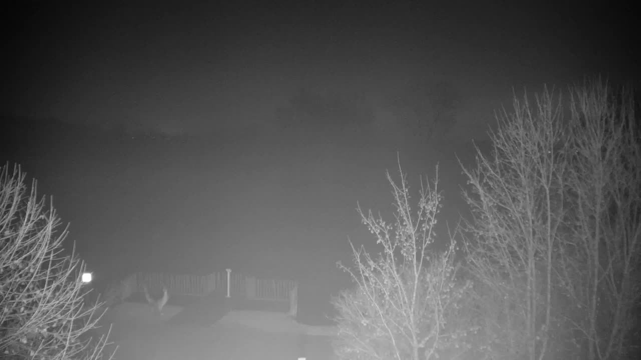 Webcam Ribnik Vrbje – Žalec