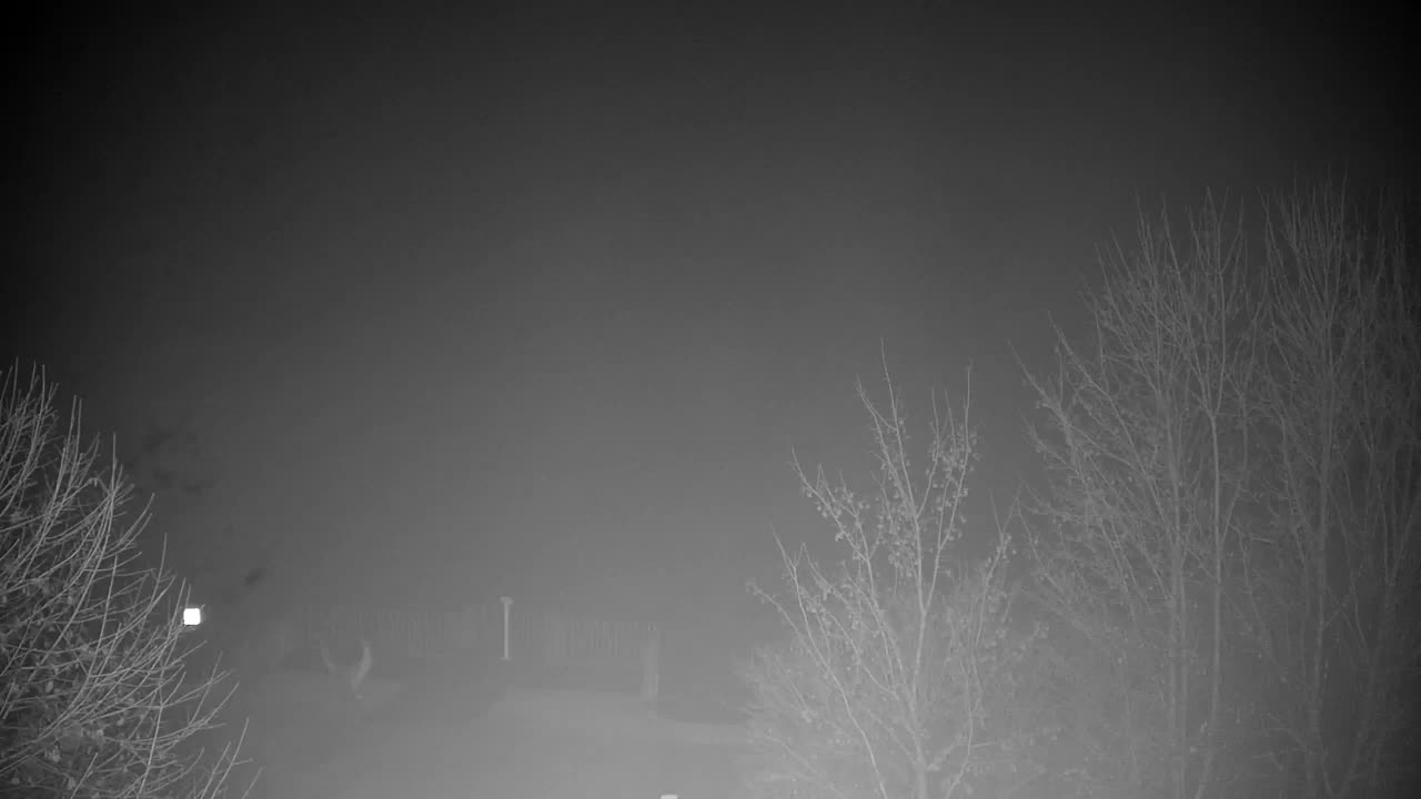 Webcam Ribnik Vrbje – Žalec