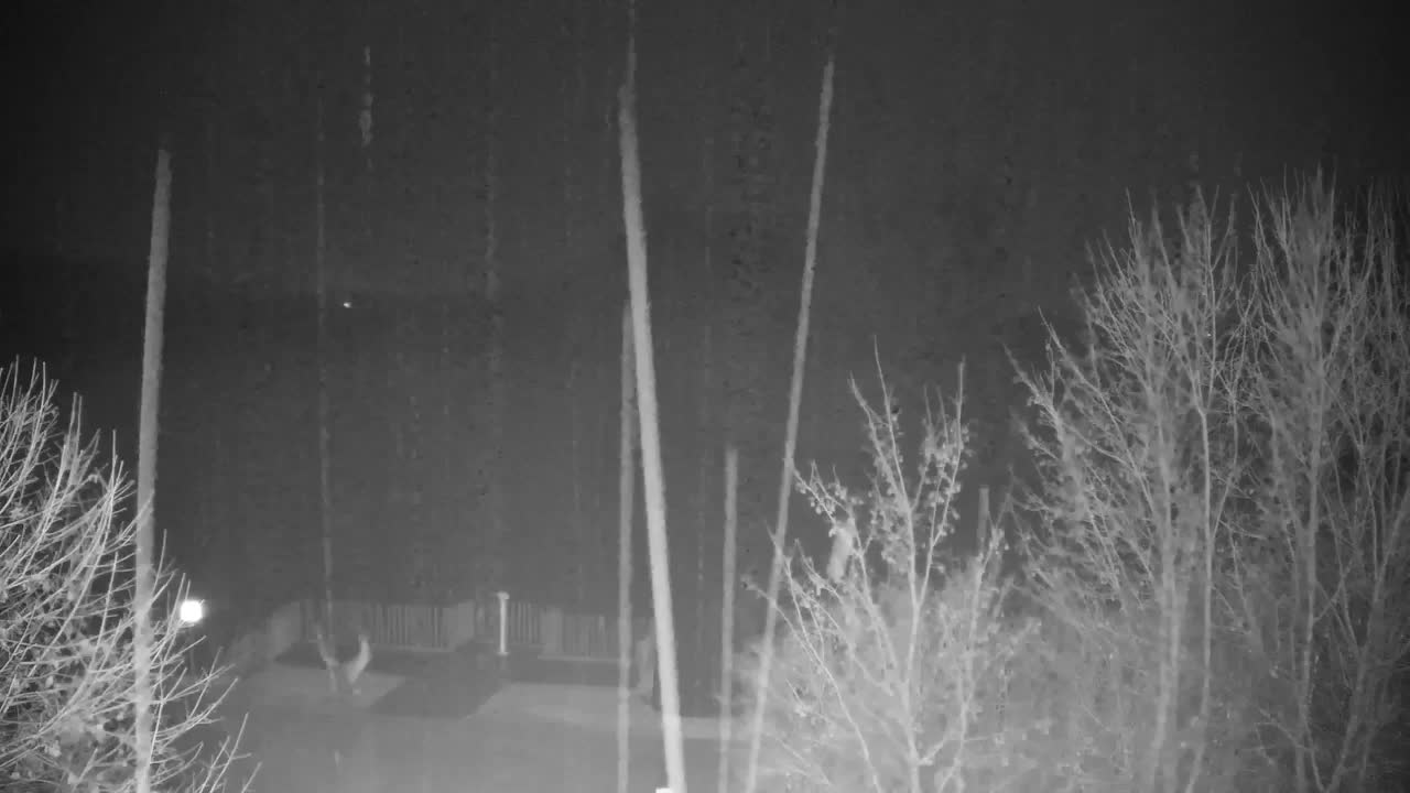 Webcam Ribnik Vrbje – Žalec