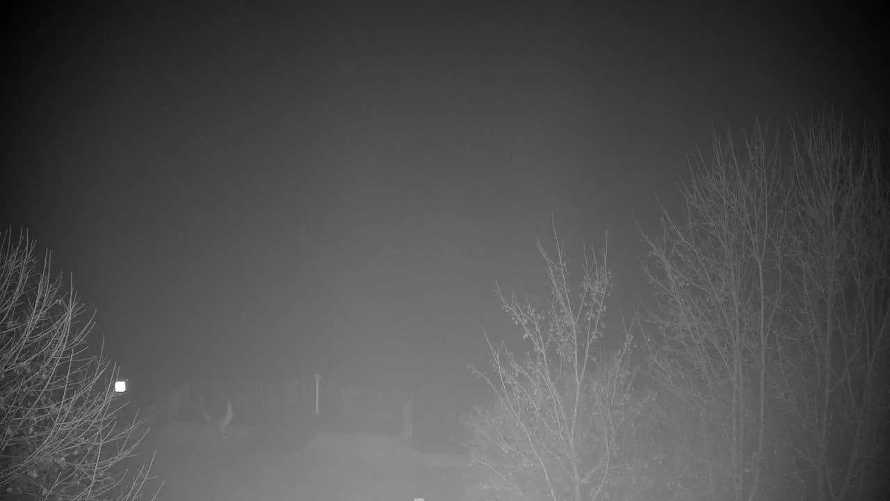 Webcam Ribnik Vrbje – Žalec