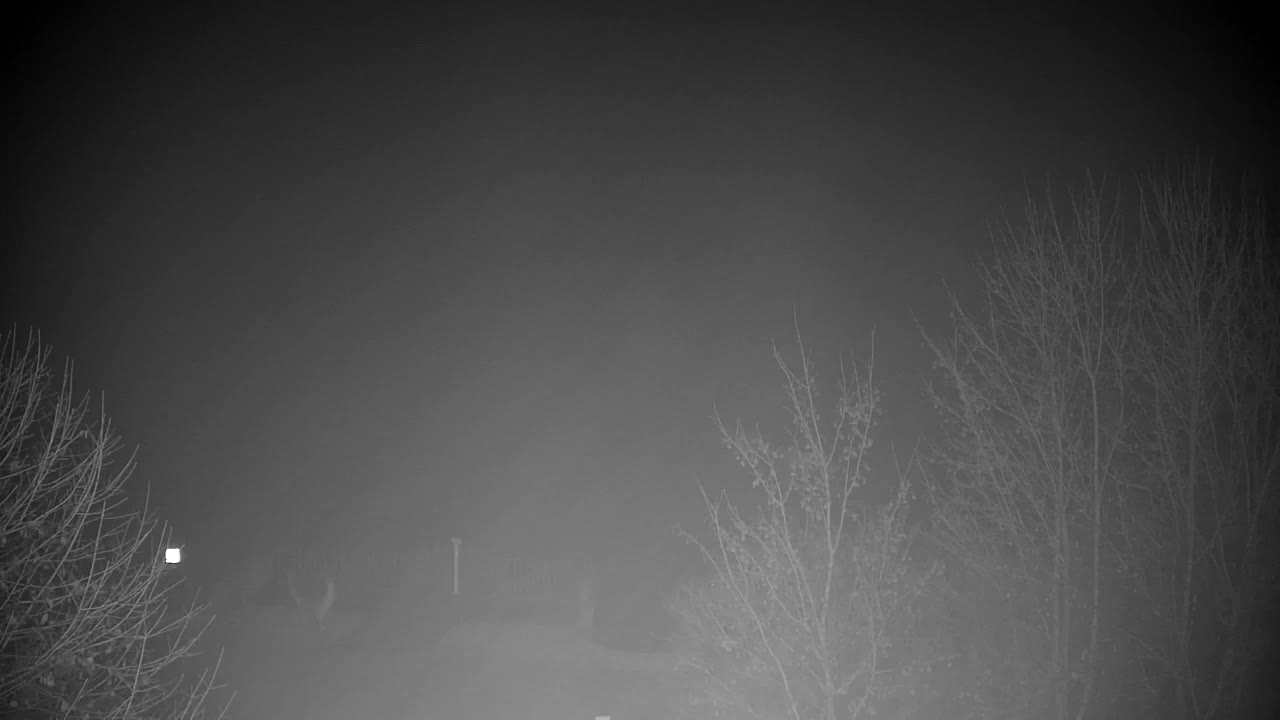 Webcam Ribnik Vrbje – Žalec