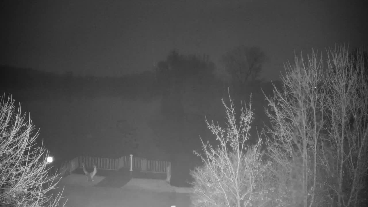 Webcam Ribnik Vrbje – Žalec