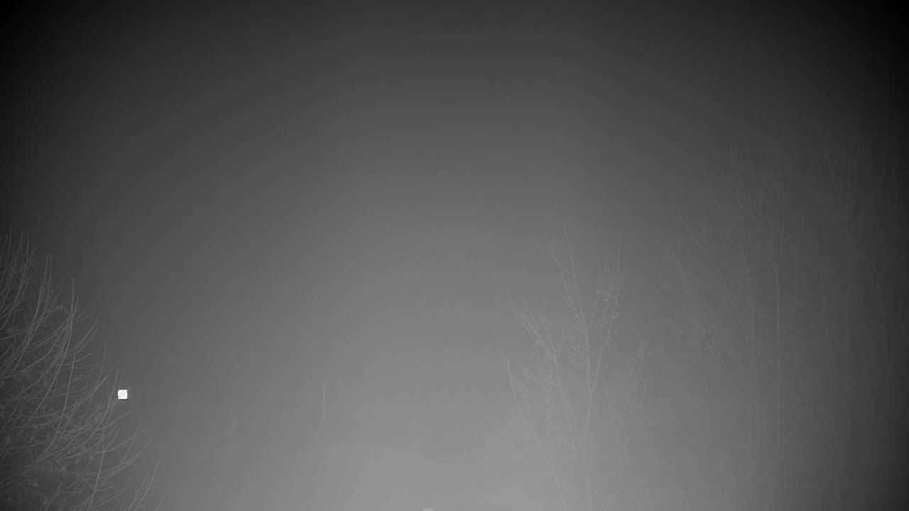 Webcam Ribnik Vrbje – Žalec