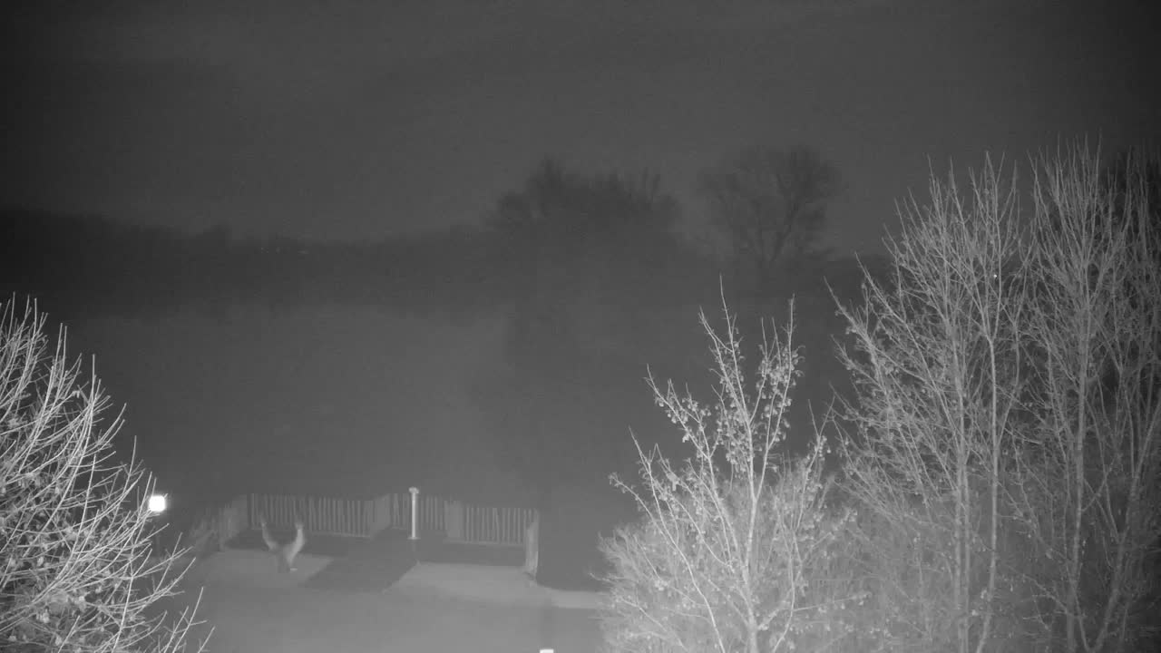 Webcam Ribnik Vrbje – Žalec