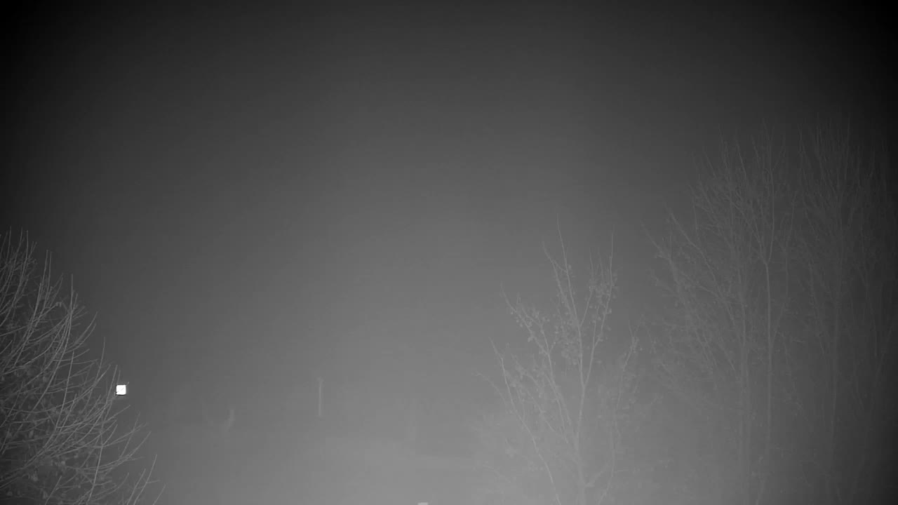 Webcam Ribnik Vrbje – Žalec