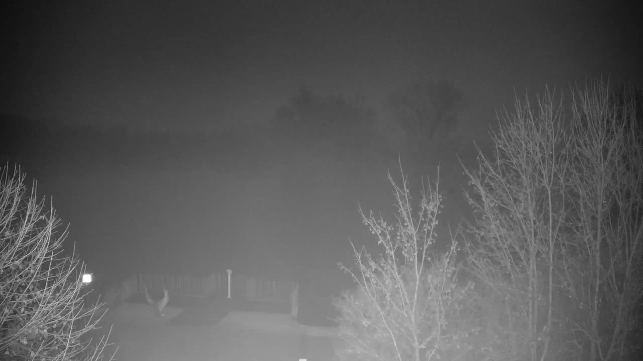 Webcam Ribnik Vrbje – Žalec