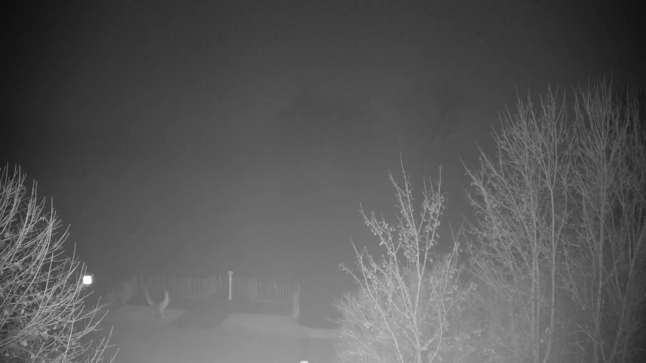 Webcam Ribnik Vrbje – Žalec