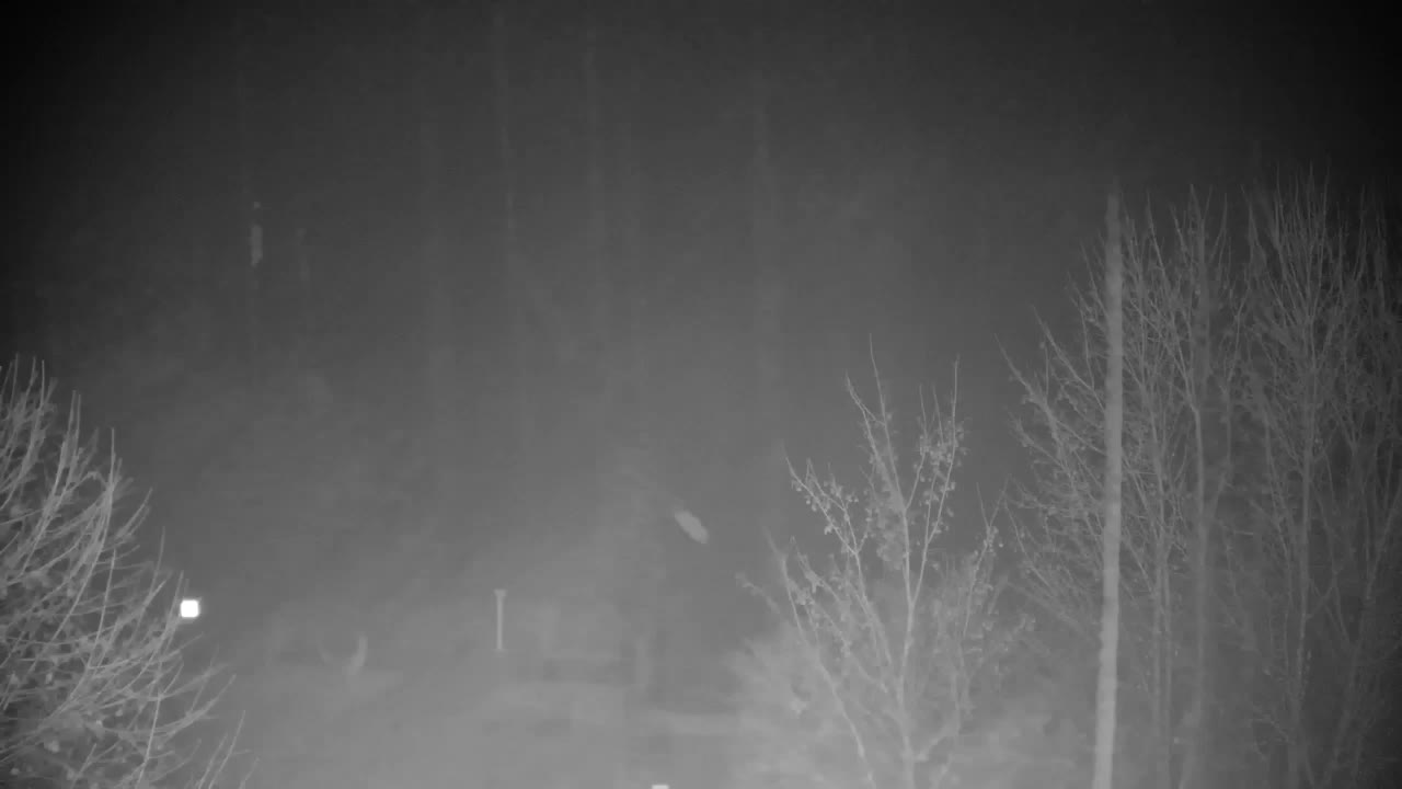 Webcam Ribnik Vrbje – Žalec