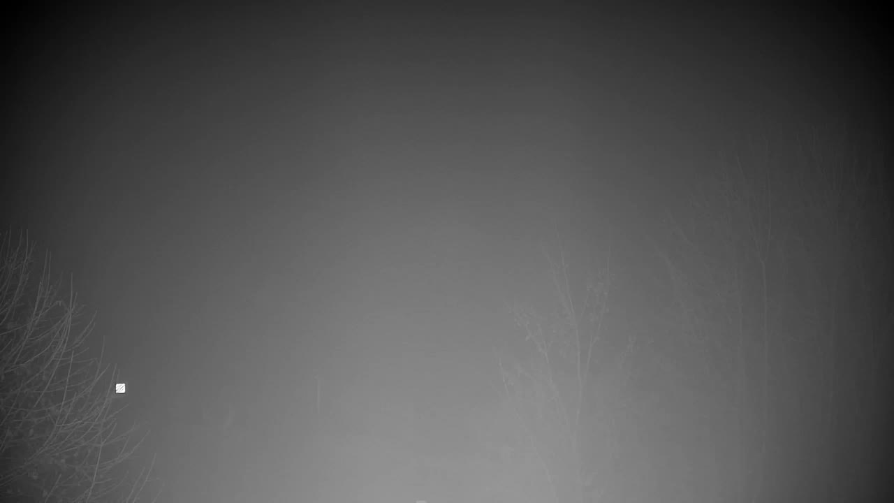 Webcam Ribnik Vrbje – Žalec