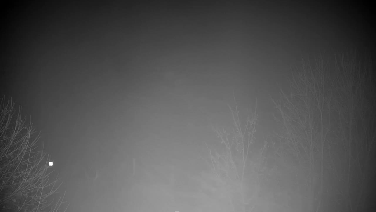 Webcam Ribnik Vrbje – Žalec