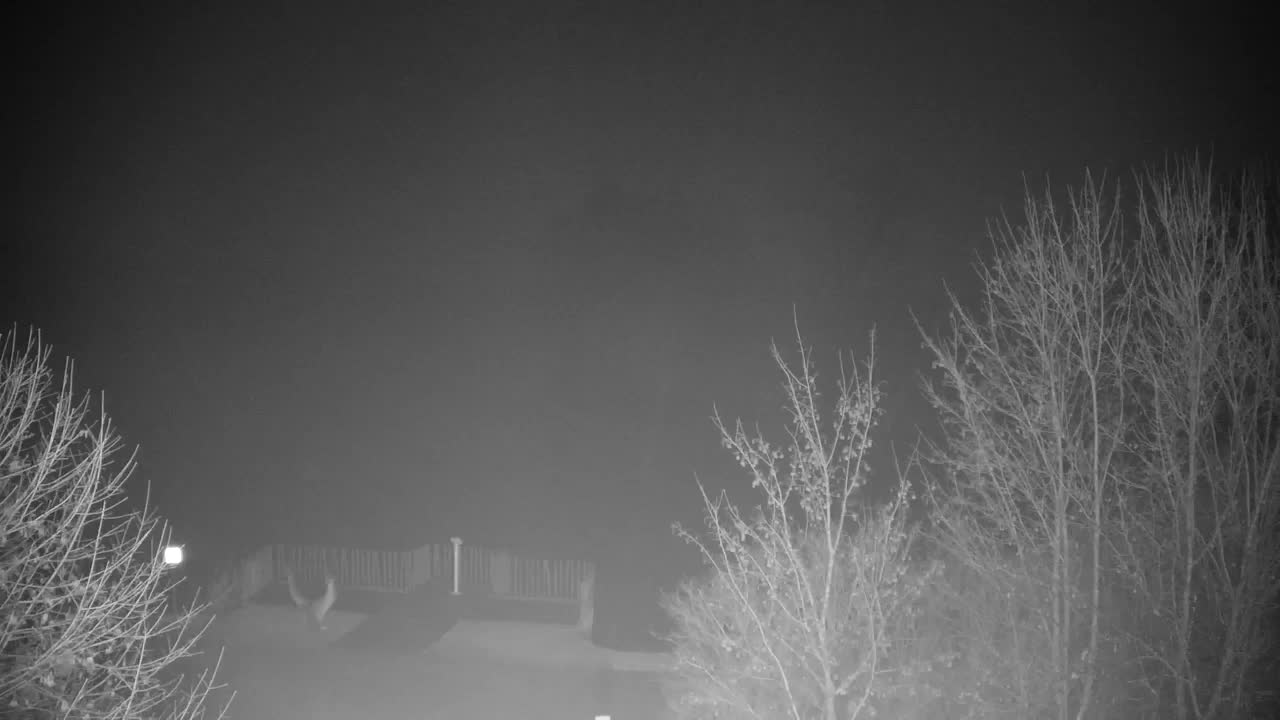 Webcam Ribnik Vrbje – Žalec