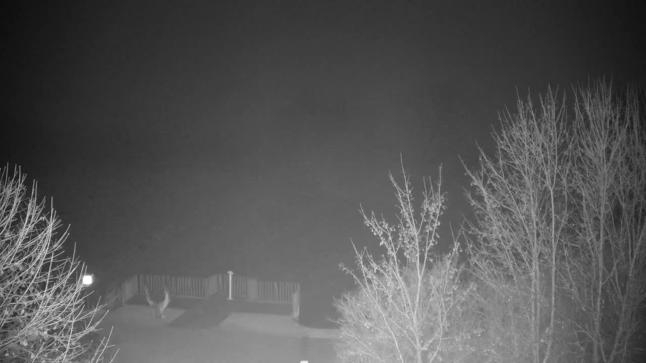 Webcam Ribnik Vrbje – Žalec