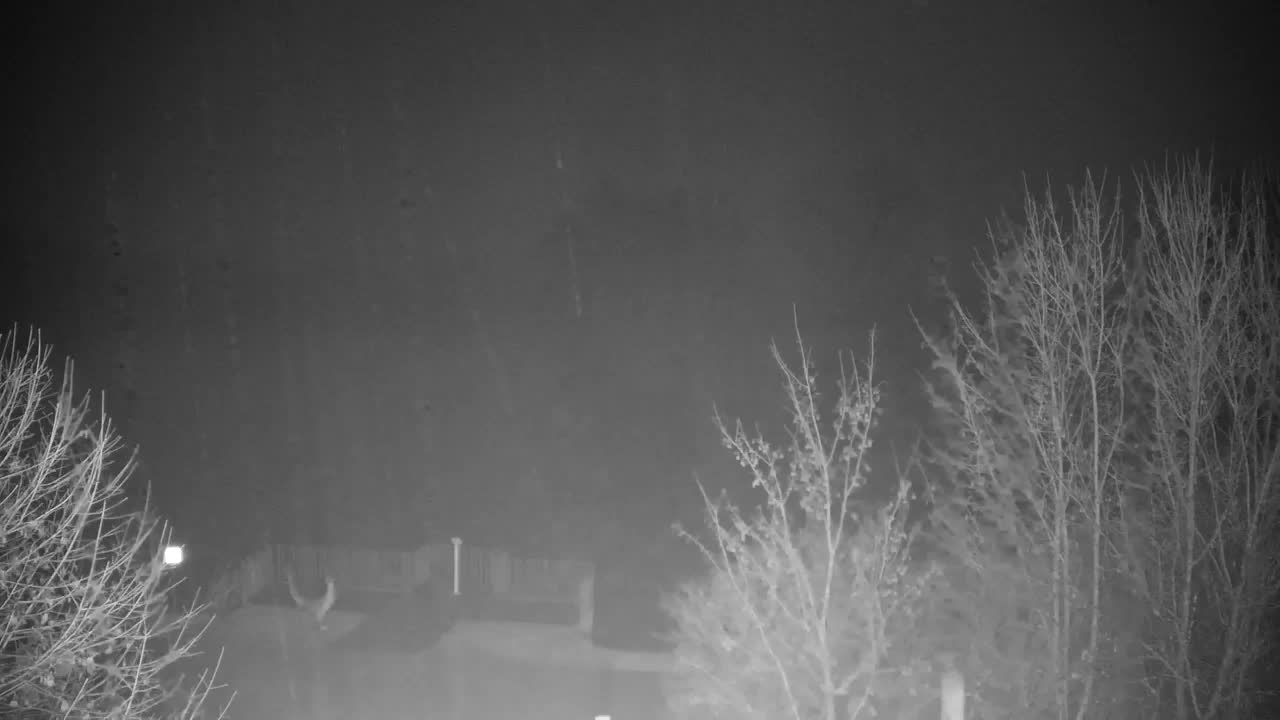 Webcam Ribnik Vrbje – Žalec