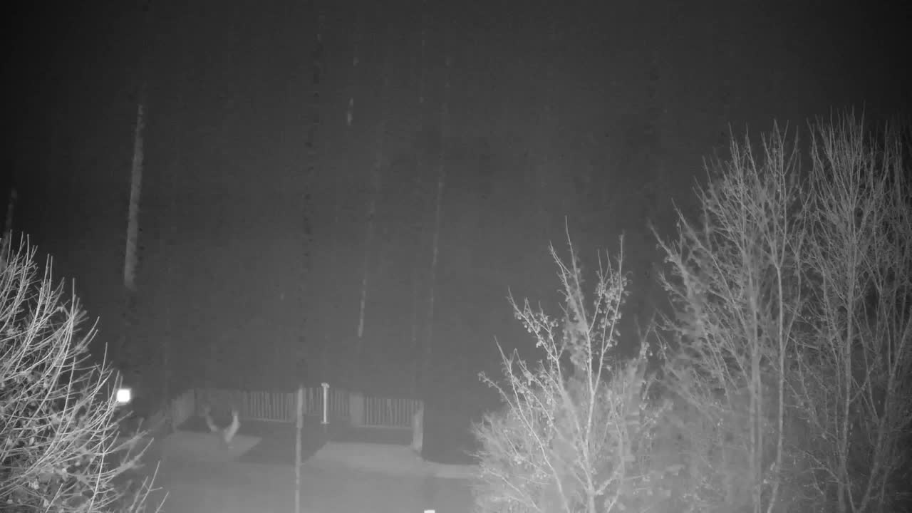 Webcam Ribnik Vrbje – Žalec